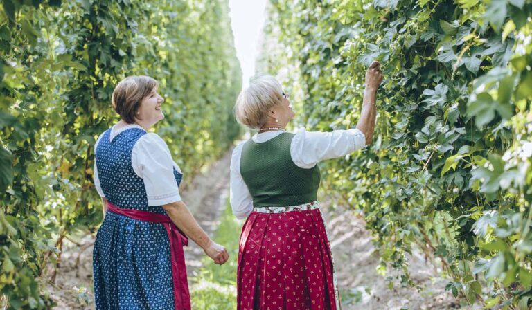 Zwei Hopfenbotschafterinnen des Hopfenland Hallertau im Hopfengarten.