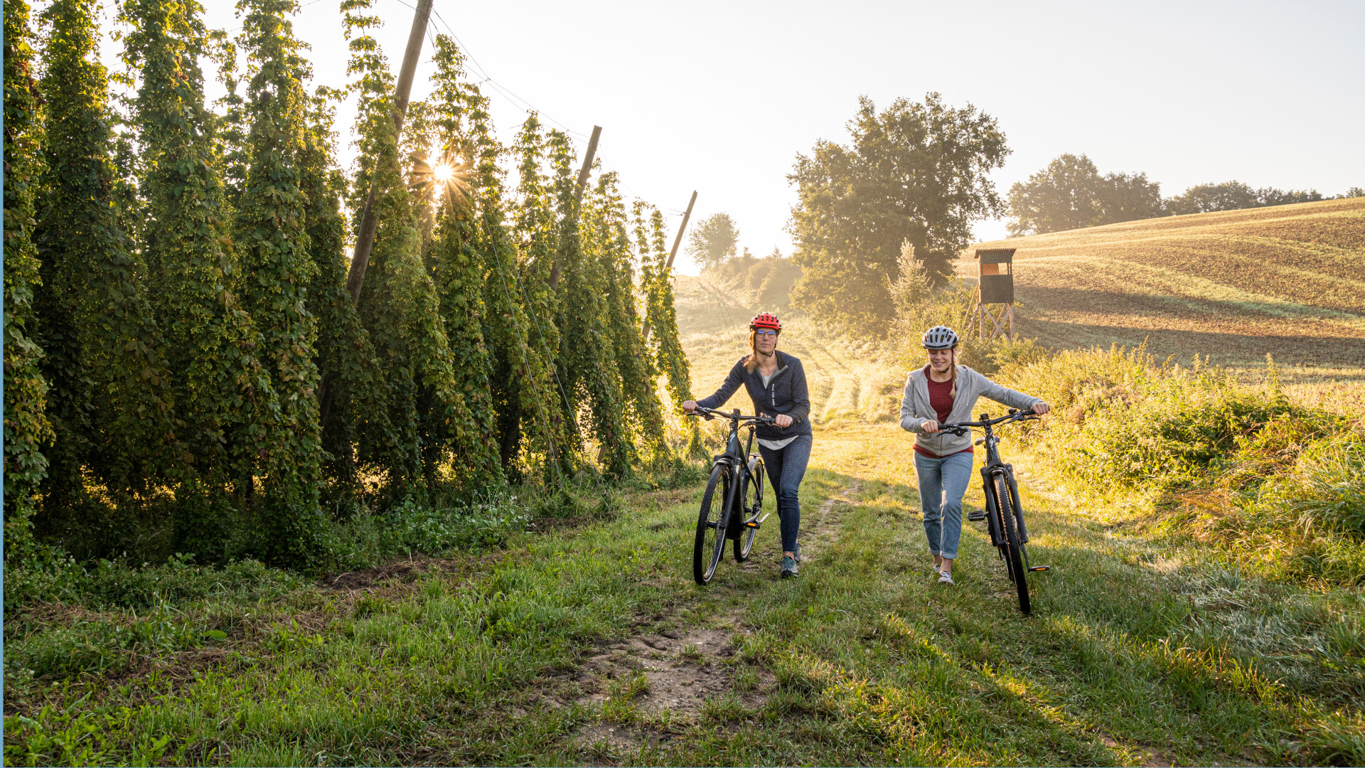 Zwei E-Bike-Fahrerinnen auf Feldweg neben Hopfengarten