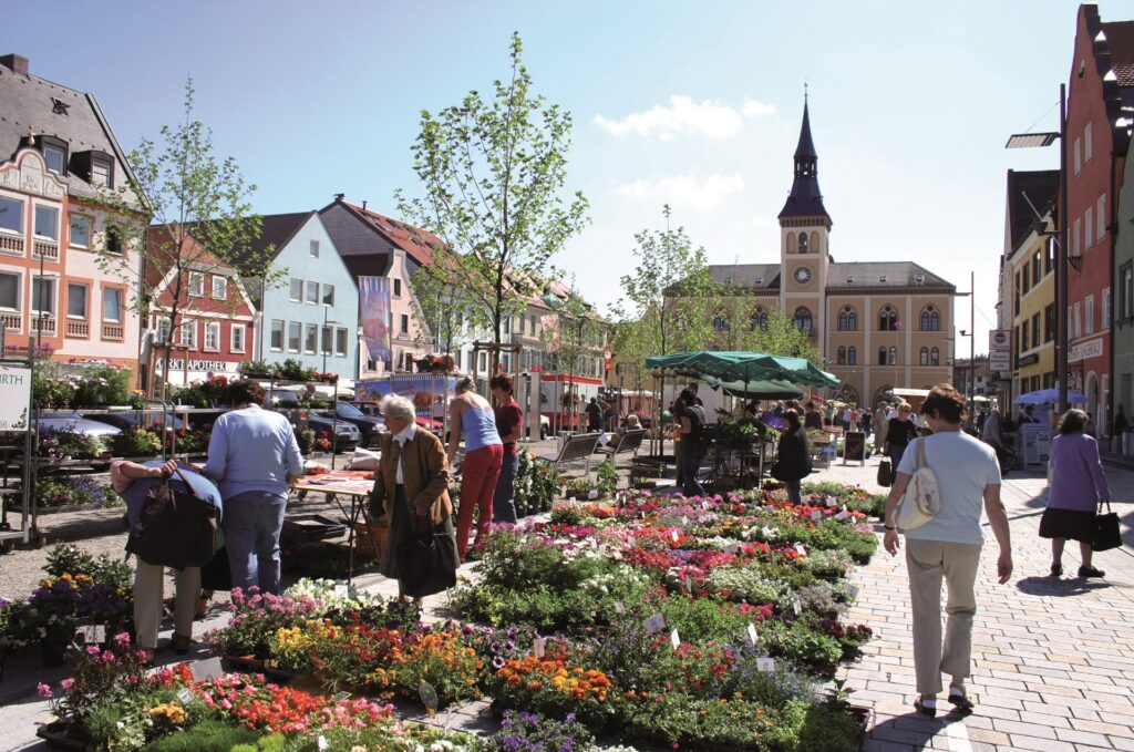 Blick auf Stand mit Pflanzen, im Hintergrund das Rathaus Pfaffenhofen