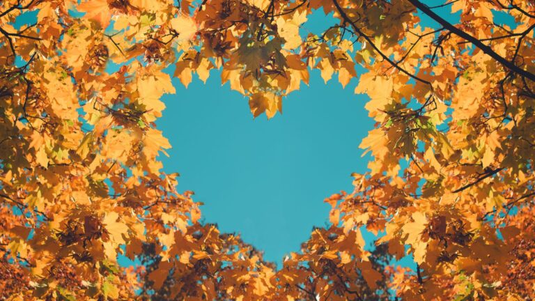 Header Herbst