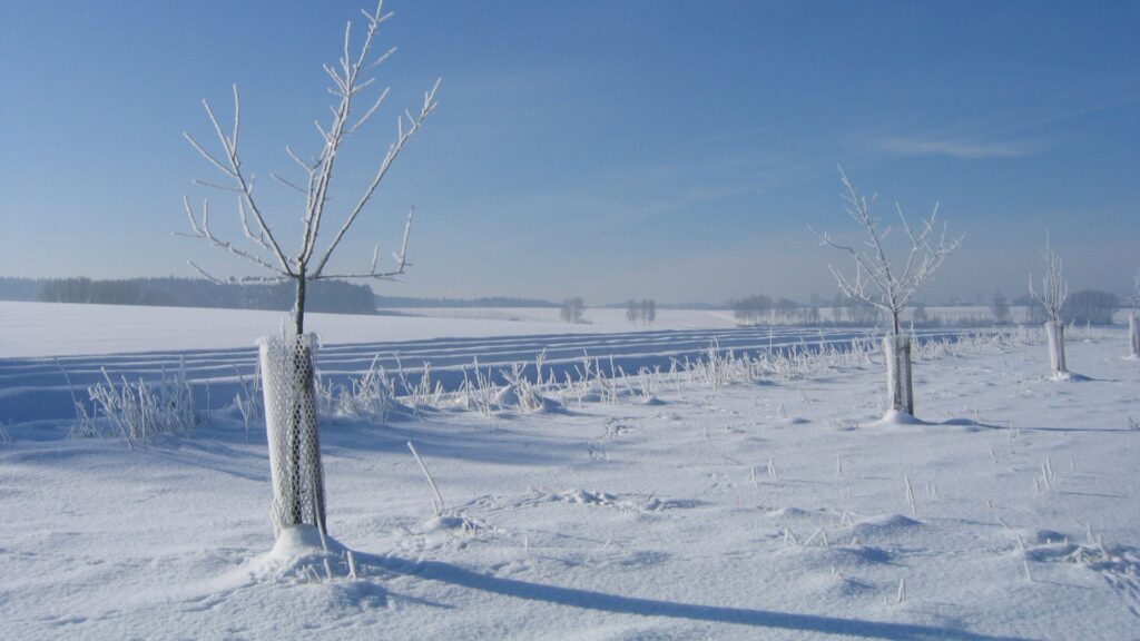 Winterlandschaft im Landkreis Pfaffenhofen