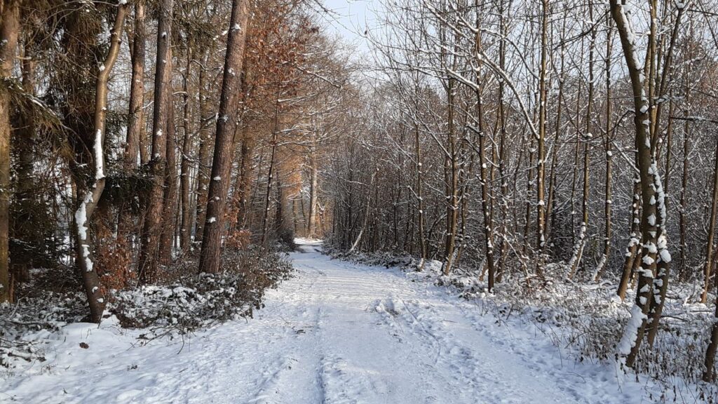 Feierabendrunde im Winter