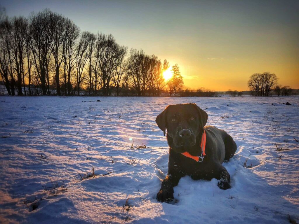 Winterwanderwege im Landkreis